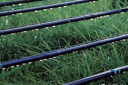 盘锦<a href=https://www.jspipe.cn/peg/ target=_blank class=infotextkey>pe农田灌溉管</a>,盘锦滴灌管,盘锦农业节水灌溉方案,盘锦高效滴灌系统安装,盘锦<a href=https://www.jspipe.cn/peg/ target=_blank class=infotextkey>pe管材</a>抗旱技术