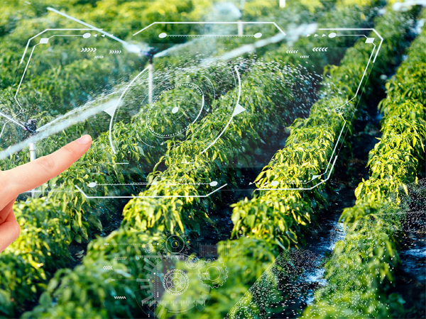 铁岭PE农田灌溉管,铁岭双壁增强波纹管,铁岭PE农田灌溉管怎么选,铁岭双壁增强波纹管安装要点,铁岭农田灌溉管道哪种好,铁岭波纹管选购技巧 铁岭PE农田灌溉管,铁岭双壁增强波纹管,铁岭PE农田灌溉管怎么选,铁岭双壁增强波纹管安装要点,铁岭农田灌溉管道哪种好,铁岭波纹管选购技巧