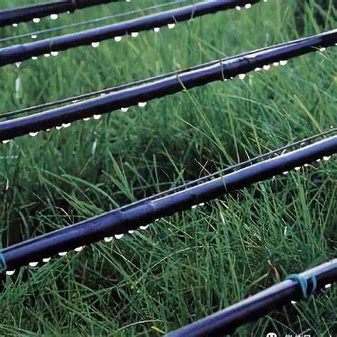 辽宁PE农田灌溉管,辽宁双壁增强波纹管,辽宁农田灌溉管如何挑选,辽宁双壁增强波纹管施工要点,辽宁农田水利管材怎么选,辽宁波纹管排水效果哪家好 辽宁PE农田灌溉管,辽宁双壁增强波纹管,辽宁农田灌溉管如何挑选,辽宁双壁增强波纹管施工要点,辽宁农田水利管材怎么选,辽宁波纹管排水效果哪家好